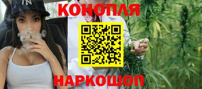 шишки Обь