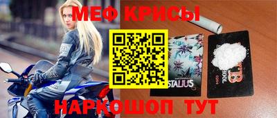шишки Обь