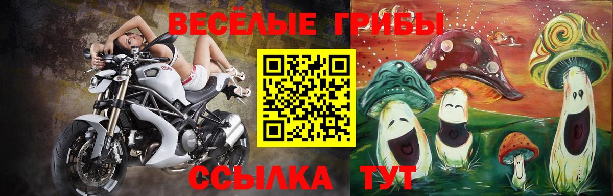 Галлюциногенные грибы мухоморы Сорочинск